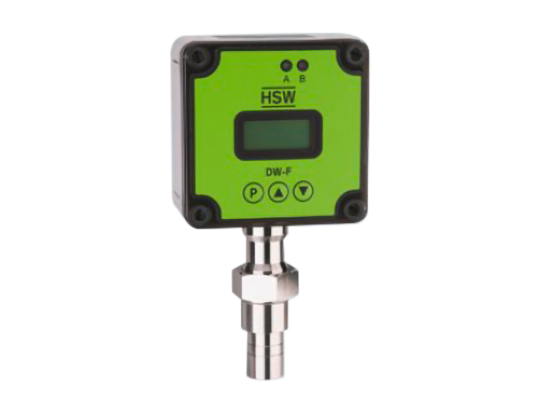 Picture of a flowtransmitter DW-F by Henke Sass Wolf in the field flow measuring technology of industry products.